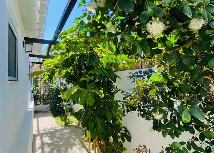 Casa de Férias Gem Of Viso Setúbal